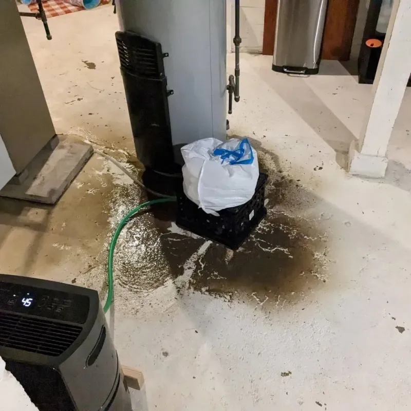 Sewage Backup Cleanup Service in Scaggsville, MD